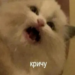 Жизень sticker 9