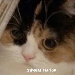 Другая жизень sticker 5