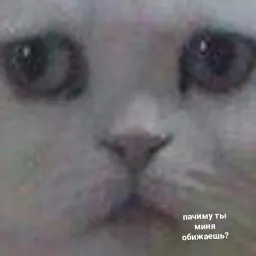 Новая жизень sticker 6