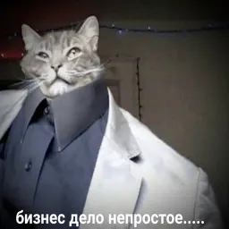 Новая жизень sticker 10