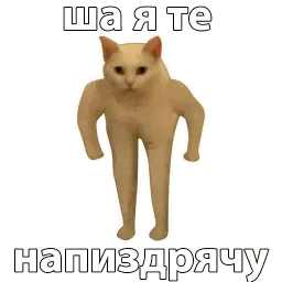 Котичи sticker 2