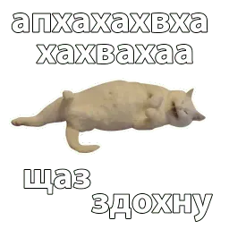 Котичи sticker 11
