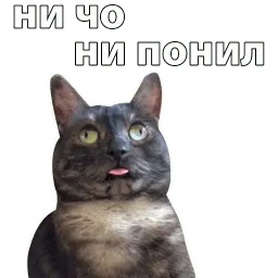 Котичи sticker 12