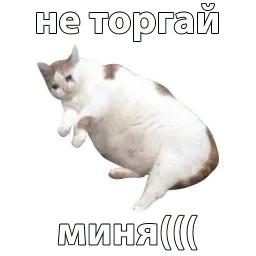 Котичи sticker 3