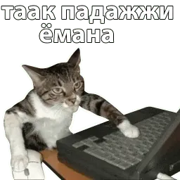 Котичи sticker 5
