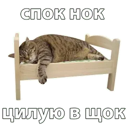 Котичи sticker 6