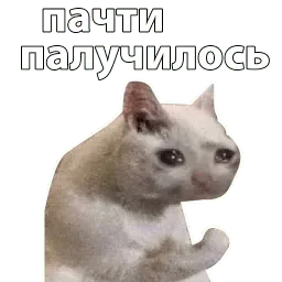 Котичи sticker 9