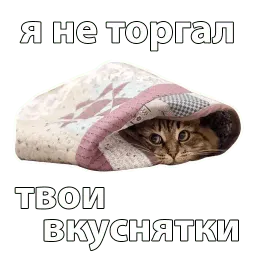 Котичи sticker 10