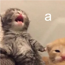кшки sticker 5