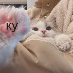 кшки sticker 8