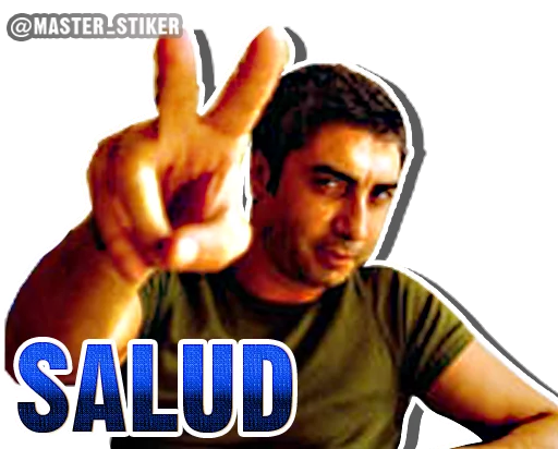 Kurtlar Vadisi sticker 12