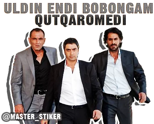 Kurtlar Vadisi sticker 15