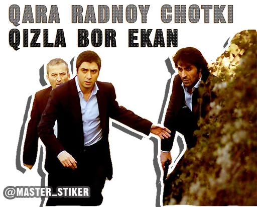 Kurtlar Vadisi sticker 37