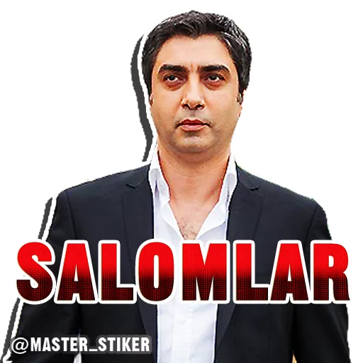 Kurtlar Vadisi sticker 40