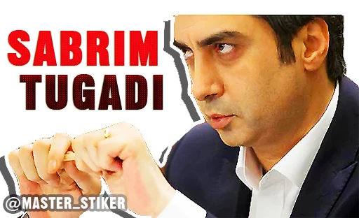 Kurtlar Vadisi sticker 44