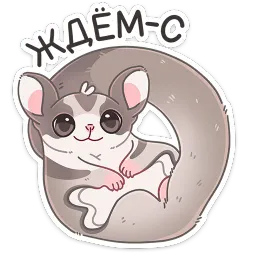 Летти Анастасия Север sticker 4