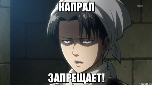 Levi Ackerman sticker 11