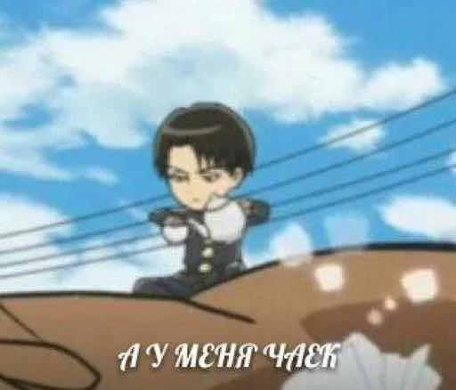 Levi Ackerman sticker 10