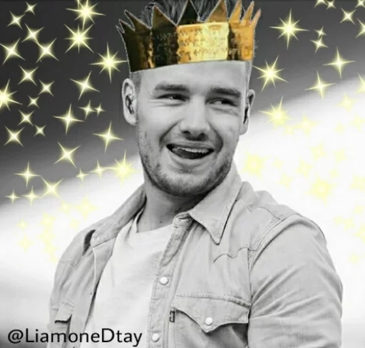 👑 Liam Payno 👑
By: @LiamoneDtay Telegram sticker pack