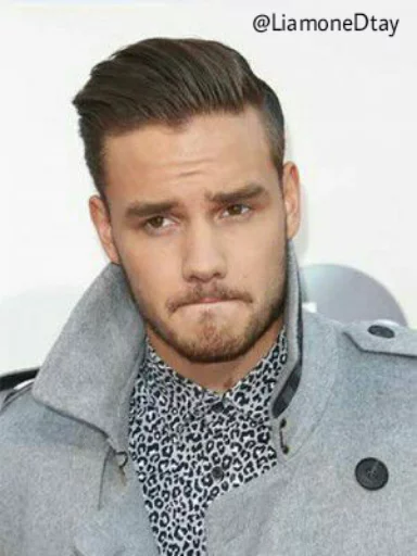 👑 Liam Payno 👑
By: @LiamoneDtay sticker 4