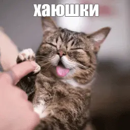Lil_Bub Telegram sticker pack