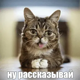 Lil_Bub sticker 2