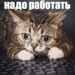 Lil_Bub sticker 11