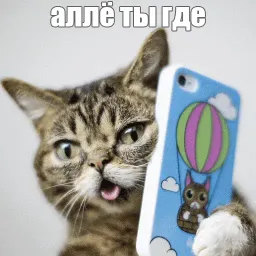 Lil_Bub sticker 4