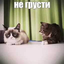 Lil_Bub sticker 6