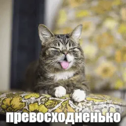 Lil_Bub sticker 7