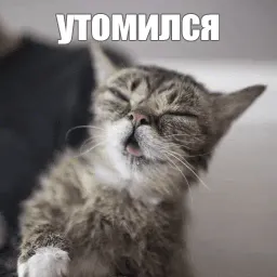 Lil_Bub sticker 8