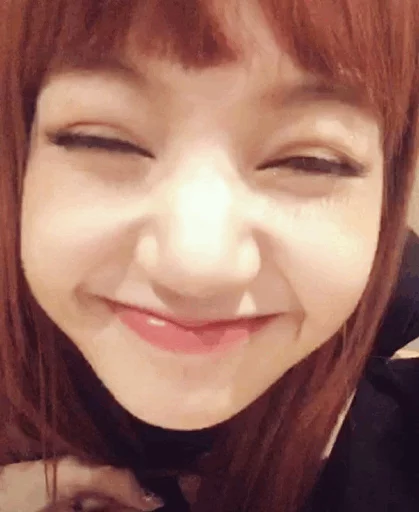 •• ı i s a mood •• [ @blackpinkmood ] sticker 8