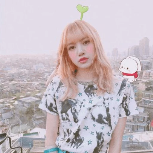 Lalisa [ @blackpinkmood ] sticker 4