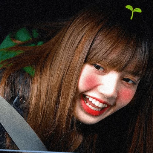 Lalisa [ @blackpinkmood ] sticker 8