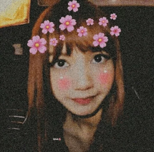 Lalisa [ @blackpinkmood ] sticker 9