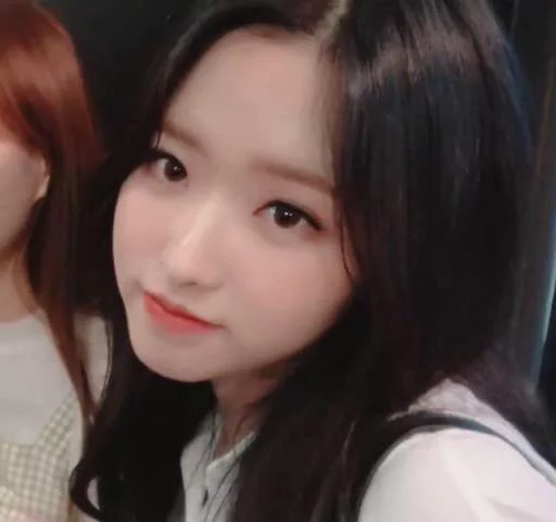 LOOΠΔ sticker 11