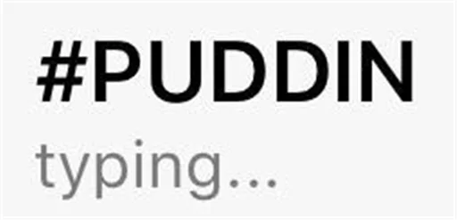 PuDDiN sticker 3