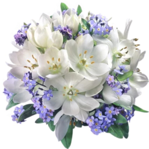 ✨ @Loveoops ✨ : Flower5 sticker 6
