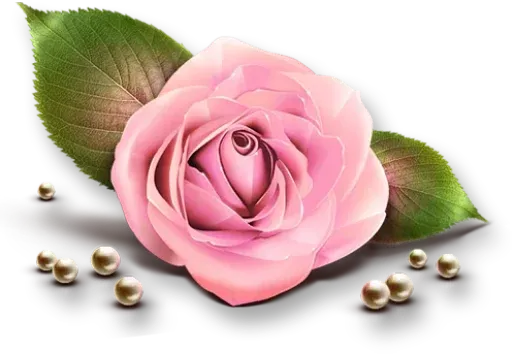@LoveoopS : Flowers sticker 2