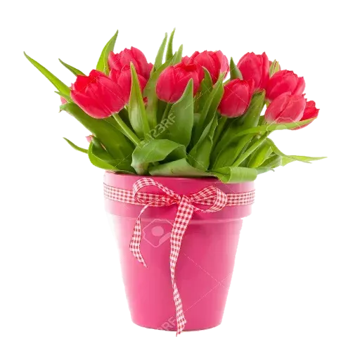 @LoveoopS : Flowers sticker 37