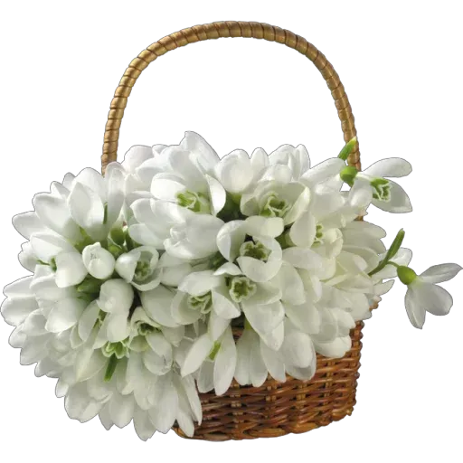 @LoveoopS : Flowers sticker 42