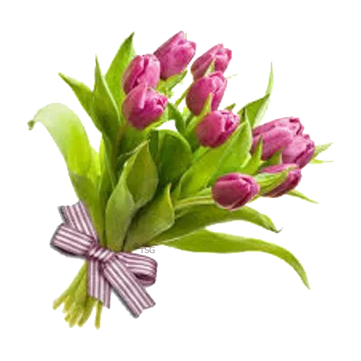 @LoveoopS : Flowers sticker 46