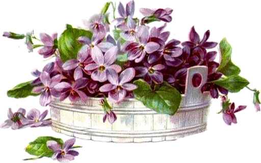 @LoveoopS : Flowers sticker 59