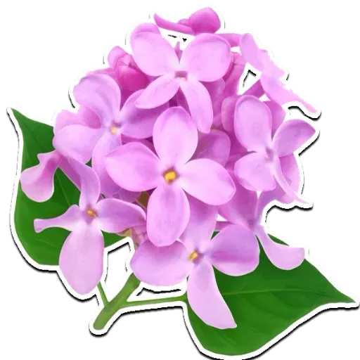@LoveoopS : Flowers sticker 70