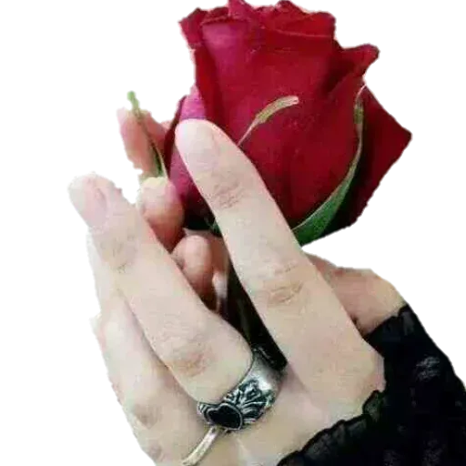 @LoveoopS : Flowers sticker 98