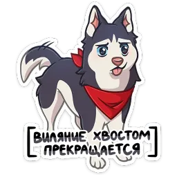 Лаки Евгения Морда sticker 11