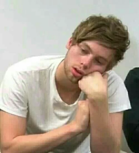 -Irwin & Hemmings- @iniallhoran sticker 2