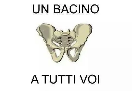 TuttoMEME sticker 5