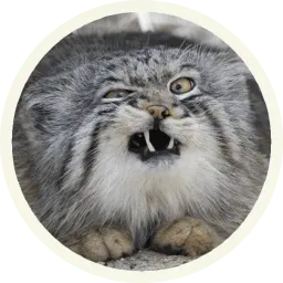 🐾 Манулы @lennysticker sticker 10