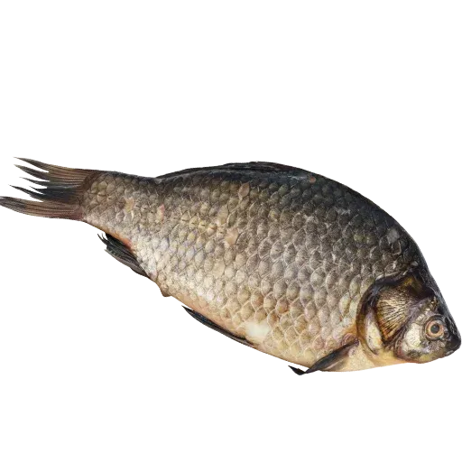 marmok2022 sticker 41